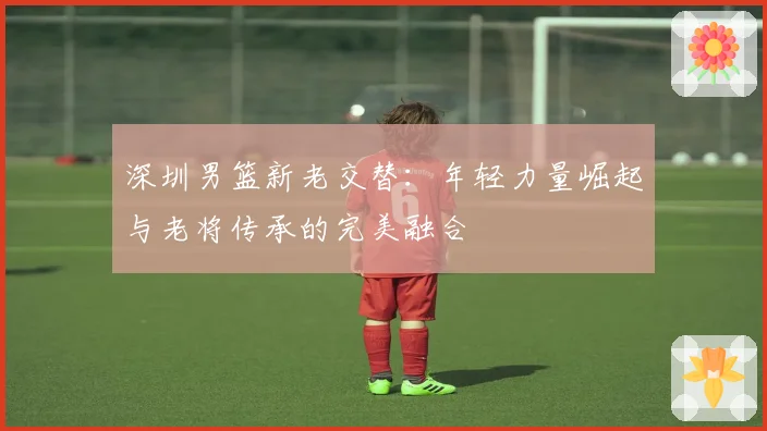 深圳男篮新老交替：年轻力量崛起与老将传承的完美融合