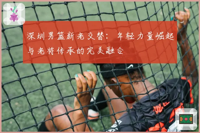 深圳男篮新老交替：年轻力量崛起与老将传承的完美融合