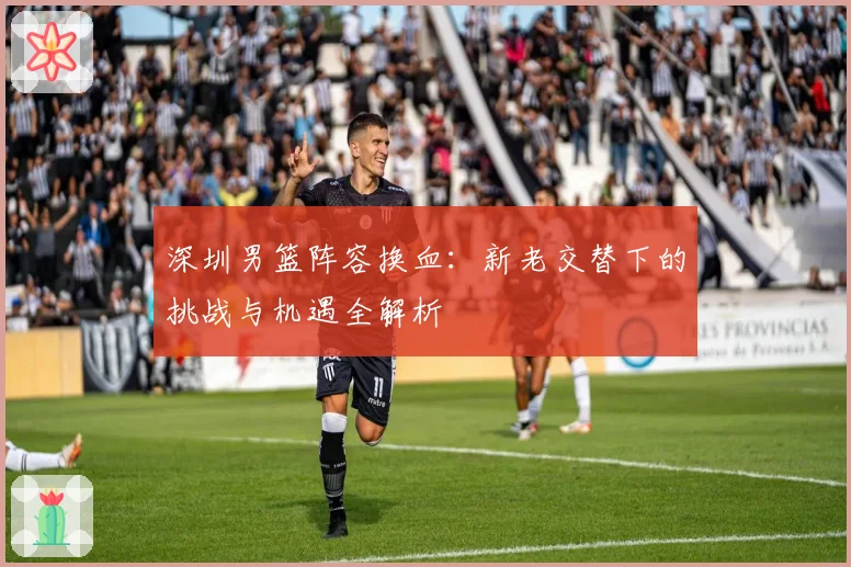 深圳男篮阵容换血：新老交替下的挑战与机遇全解析