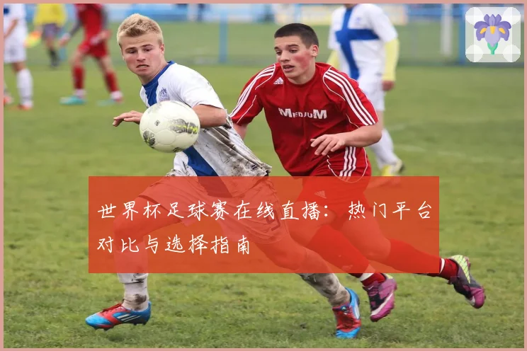 世界杯足球赛在线直播：热门平台对比与选择指南