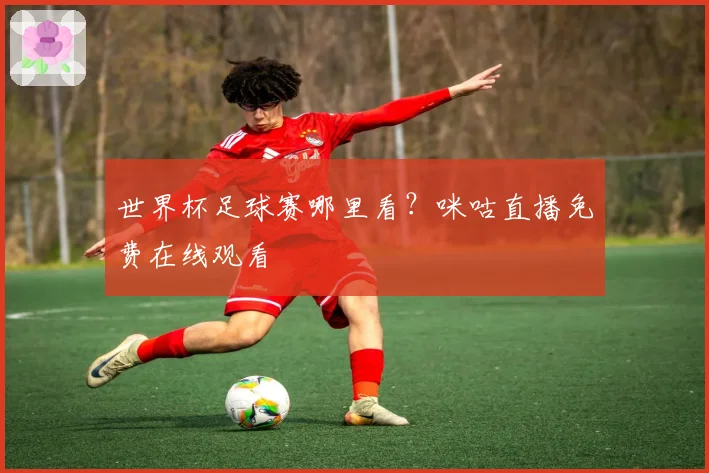 世界杯足球赛哪里看？咪咕直播免费在线观看