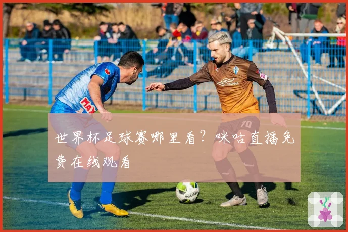 世界杯足球赛哪里看？咪咕直播免费在线观看