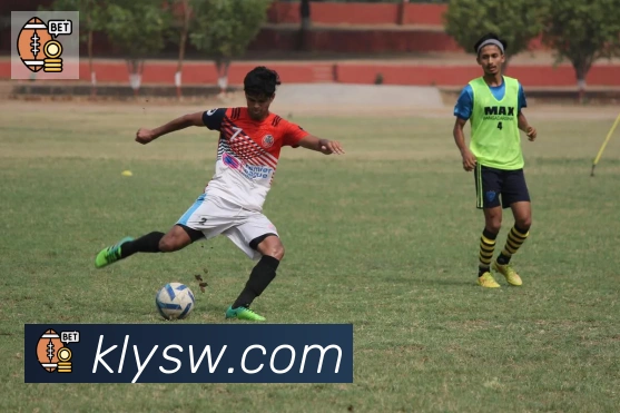 爱游戏体育app下载发展历程