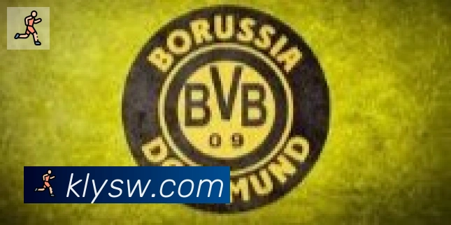 爱游戏体育app下载合作伙伴